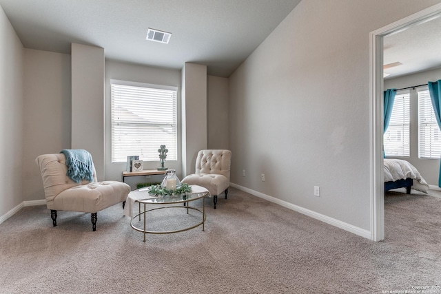 6838 Dashmoor Crk, San Antonio, TX 78244 - living area featuring carpet floors