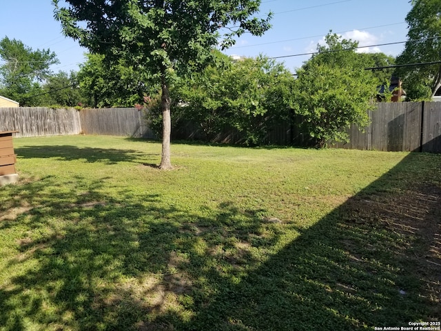 310 Coronet, San Antonio, TX 78216 - view of fenced backyard