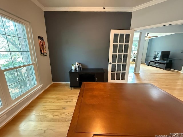 13011 Vidorra Vis, San Antonio, TX 78216 - office with light wood-type flooring, crown molding, and ceiling fan