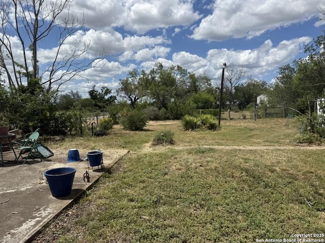 559 W Rheiner, Sabinal, TX 78881 - view of grassy yard