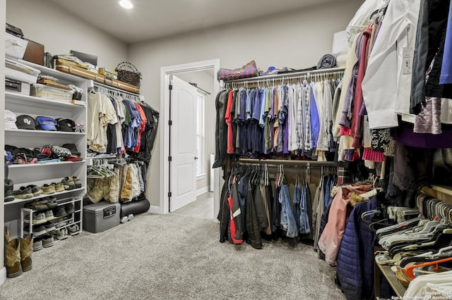 1117 Provence Pl, New Braunfels, TX 78132 - spacious closet with carpet flooring