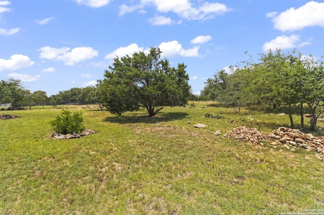 1117 Provence Pl, New Braunfels, TX 78132 - view of green lawn
