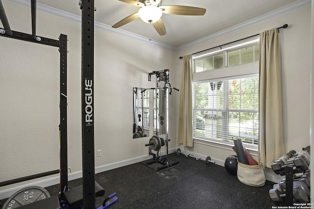 10657 Foxen Way, Helotes, TX 78023 - exercise room with crown molding and ceiling fan