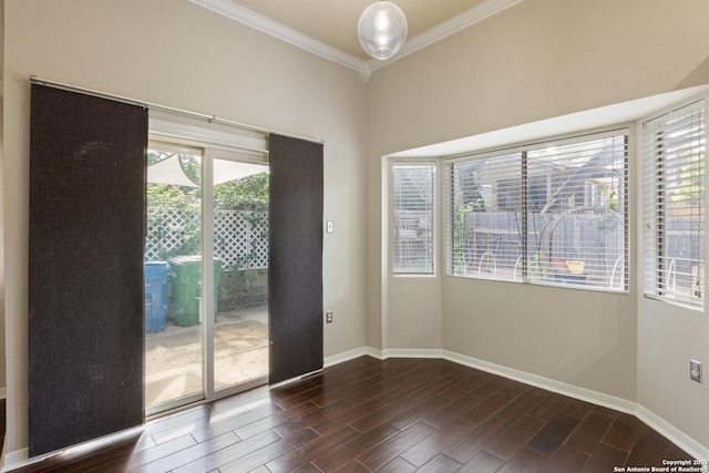4242 Shady Tree Ln, San Antonio, TX 78247 - unfurnished room featuring ornamental molding and dark wood-type flooring