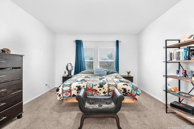 14016 Breccia Loop, San Antonio, TX 78253 - bedroom with carpet
