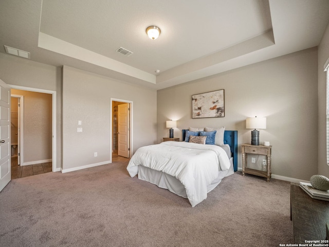 754 Farmers Dell, New Braunfels, TX 78130 - carpeted bedroom featuring a raised ceiling and baseboards