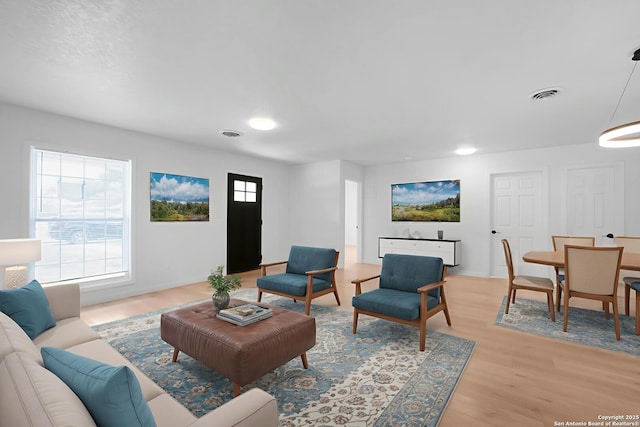 192 Meadow, New Braunfels, TX 78130 - living room featuring light wood-style floors