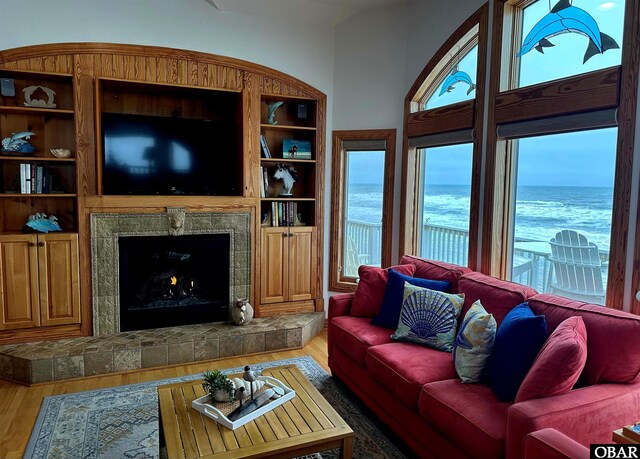 living area featuring wood finished floors and a premium fireplace