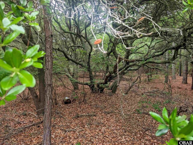 407 Red Snapper Ln Lot # 6, Corolla, NC 27927