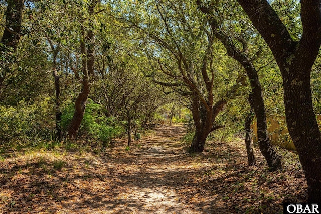 740 E Willet Ct Lot 54, Corolla, NC 27927 - view of local wilderness featuring a forest view