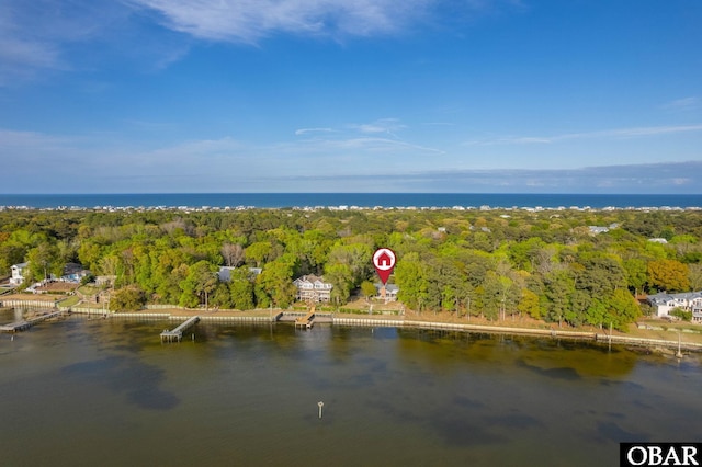 bird's eye view with a view of trees and a water view