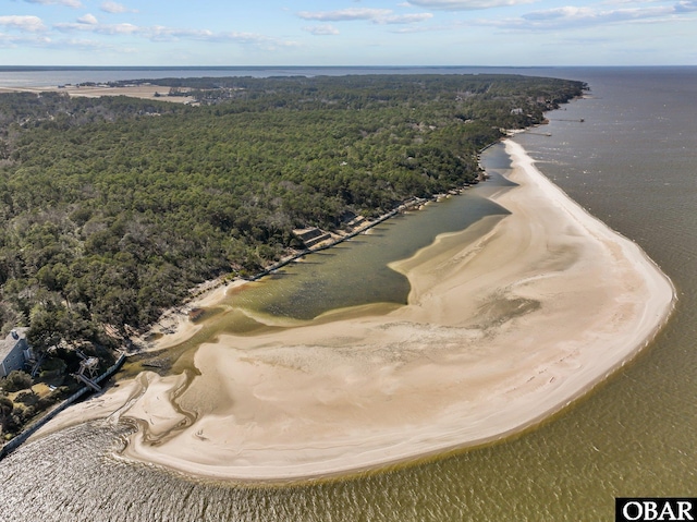 aerial view with a view of trees and a water view