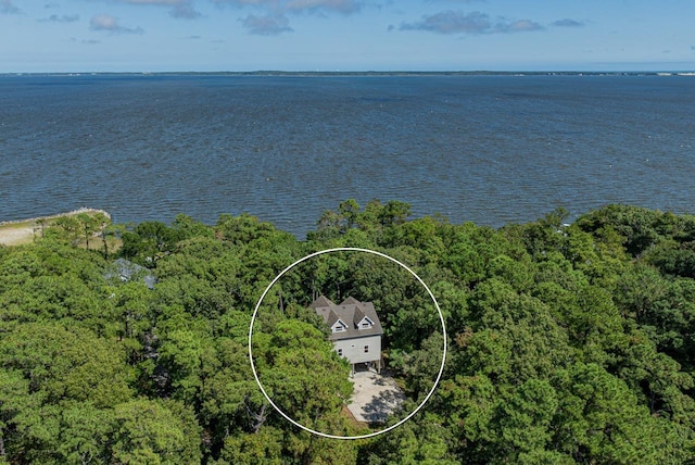 drone / aerial view with a water view and a view of trees