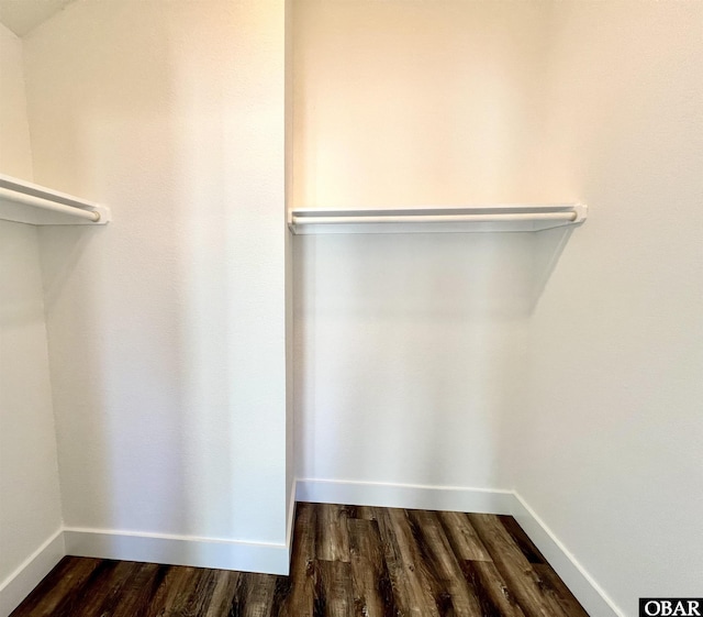 walk in closet featuring dark wood-style floors