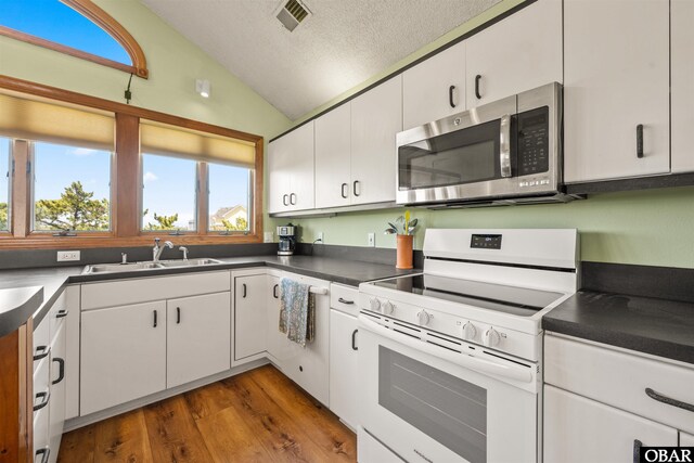 kitchen with a sink, lofted ceiling, dark countertops, stainless steel microwave, and electric stove