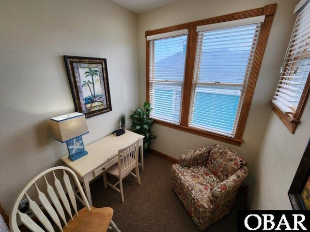 carpeted home office with baseboards