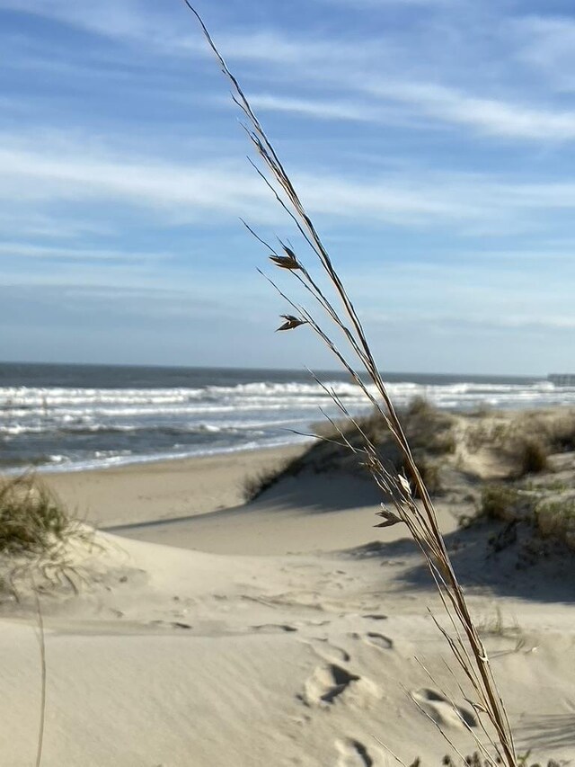 23270 Midgetts Mobile Ct Lot # 2, Rodanthe, NC 27968 - photo 7