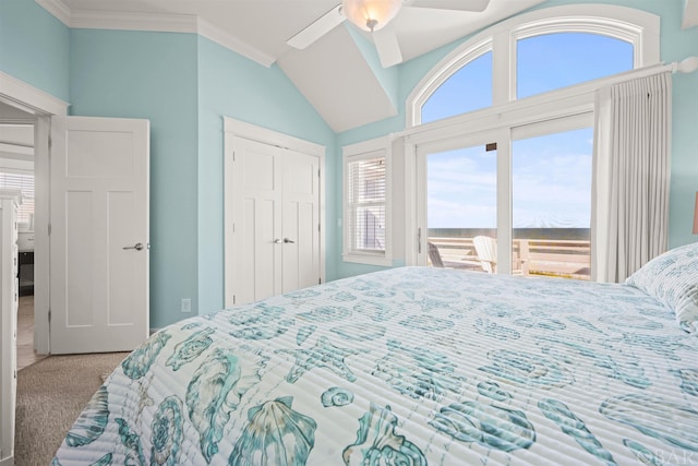 carpeted bedroom featuring ceiling fan, a closet, and crown molding