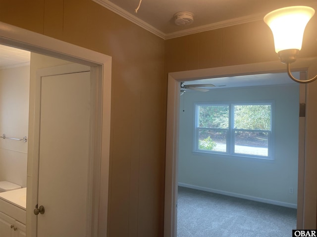 interior space with carpet floors, ornamental molding, and baseboards