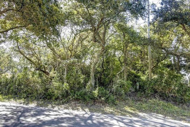 50109 Blackbeards Ct Lot # 162, Frisco, NC 27936