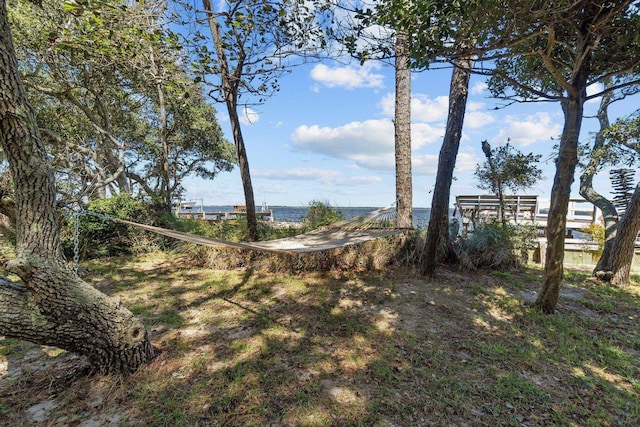 view of yard with a water view