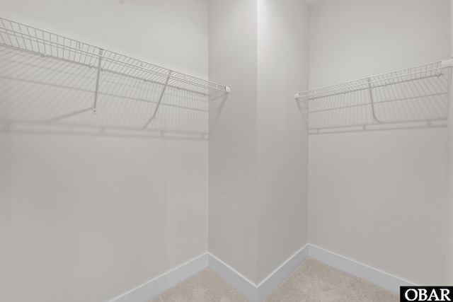 walk in closet with carpet