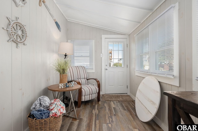 doorway with lofted ceiling, wooden walls, and wood finished floors