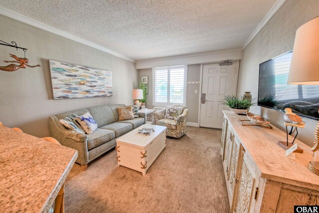 58822 Marina Way Unit 208, Hatteras, NC 27943 - living area with crown molding, a textured ceiling, light carpet, and a textured wall