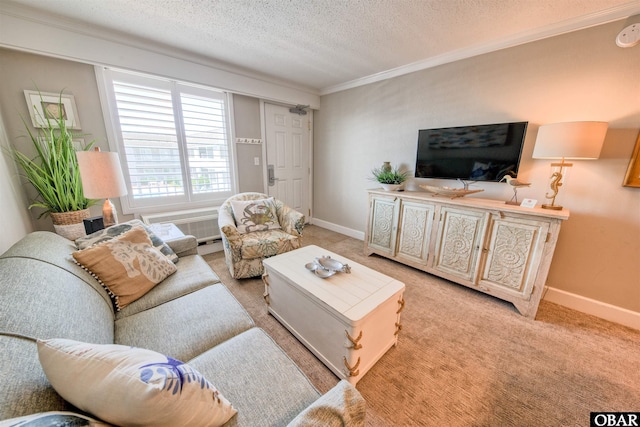 58822 Marina Way Unit 208, Hatteras, NC 27943 - living room with crown molding, a textured ceiling, and light carpet