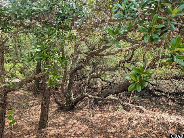 2261 E Swordfish Cres Lot 18, Corolla, NC 27927