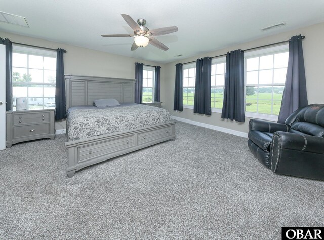284 Old Swamp Rd, South Mills, NC 27976 - bedroom with carpet and a ceiling fan