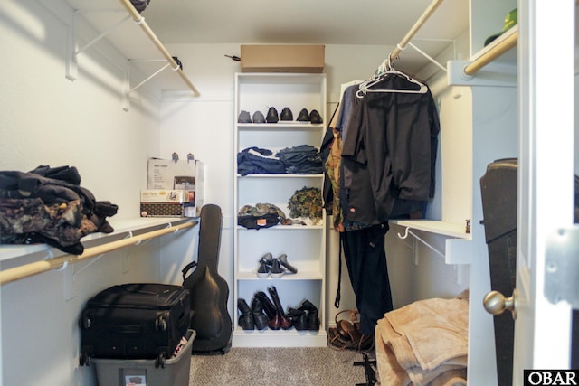 284 Old Swamp Rd, South Mills, NC 27976 - spacious closet featuring carpet
