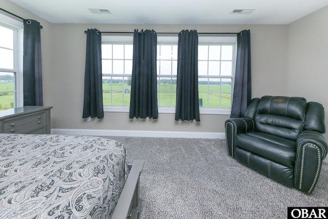 284 Old Swamp Rd, South Mills, NC 27976 - bedroom with carpet floors and multiple windows