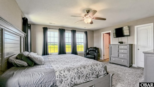 284 Old Swamp Rd, South Mills, NC 27976 - bedroom with light carpet and a ceiling fan