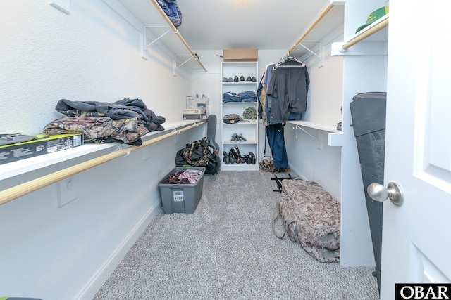 284 Old Swamp Rd, South Mills, NC 27976 - spacious closet with carpet