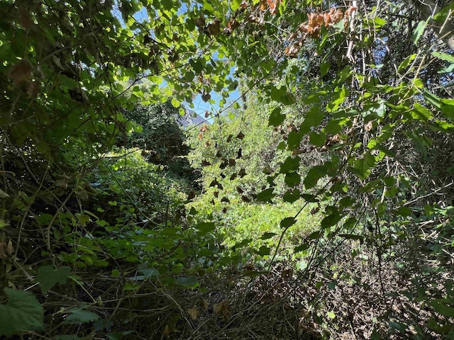 443 Kitty Hawk Bay Dr Lot 150, Kill Devil Hills, NC 27948