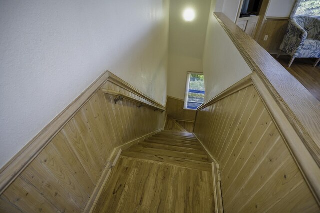 staircase with a wainscoted wall, wood finished floors, and wooden walls