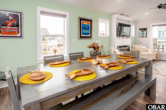 dining room featuring plenty of natural light, wood finished floors, and a large fireplace