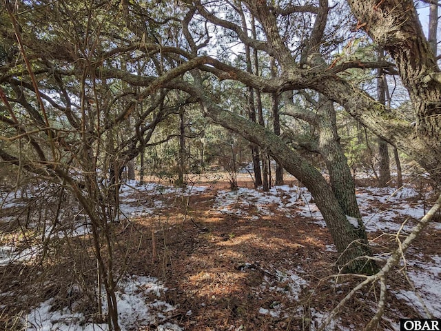 Listing photo 3 for 2002 Sea Horse Rd Lot 50, Corolla NC 27927