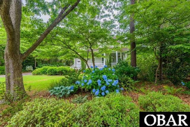 102 William And Mary Way Lot 13, Manteo, NC 27954 - view of yard featuring covered porch
