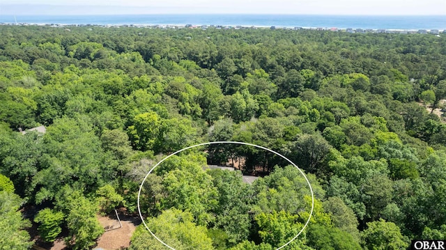 41 Eagles Nest Ln Lot 372, Southern Shores, NC 27949 - bird's eye view of a forest
