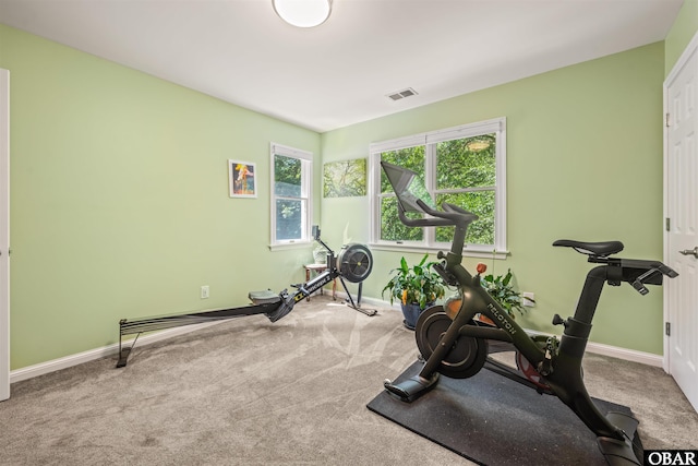 41 Eagles Nest Ln Lot 372, Southern Shores, NC 27949 - exercise area with baseboards, plenty of natural light, and carpet flooring