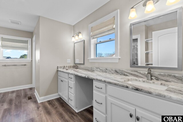 full bathroom featuring double vanity, wood finished floors, a sink, and a healthy amount of sunlight