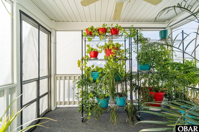 sunroom / solarium with ceiling fan
