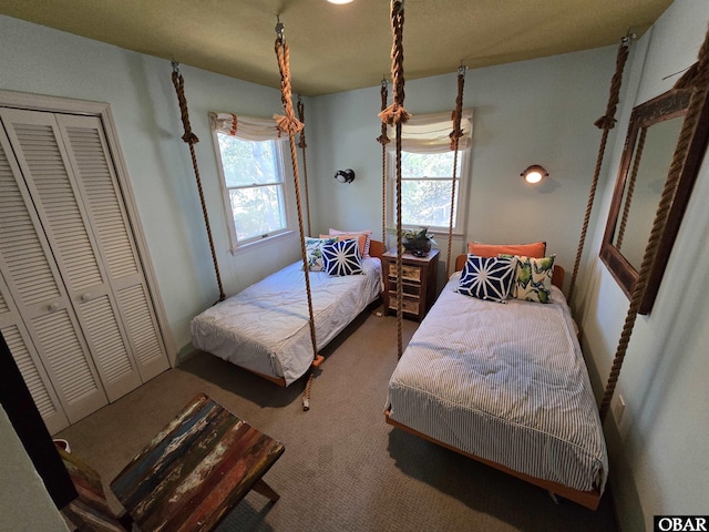 bedroom featuring carpet and a closet