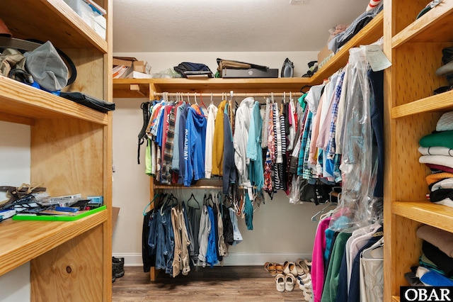 walk in closet featuring wood finished floors