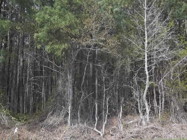 TBD Griffin Swamp Rd Lot # 2, Elizabeth City NC, 27909 land for sale