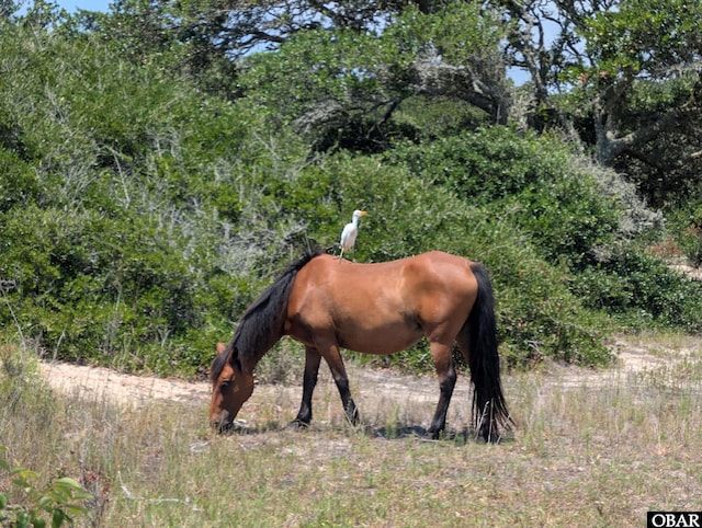 1631 Ocean Pearl Rd Lot 16, Corolla, NC 27927