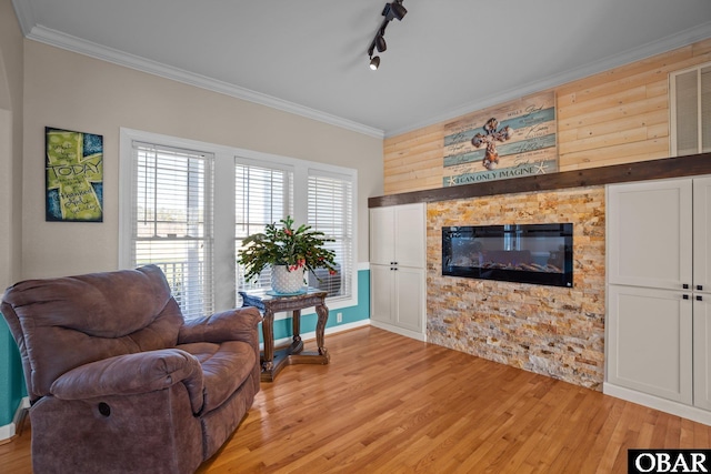 sitting room featuring light wood-style floors, track lighting, crown molding, and a stone fireplace