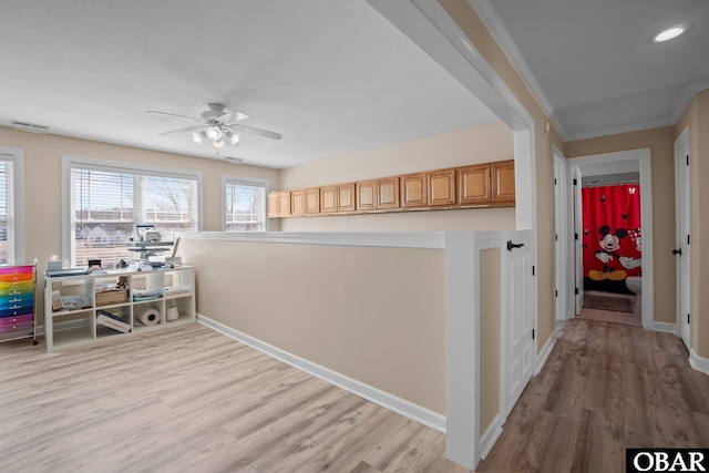 kitchen featuring visible vents, baseboards, light wood-style flooring, ceiling fan, and crown molding